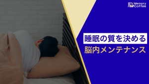 脳の老廃物を洗い流すグリンファティックシステムの概念図と、神経の興奮を鎮めるGABAの役割を表現したイメージ画像