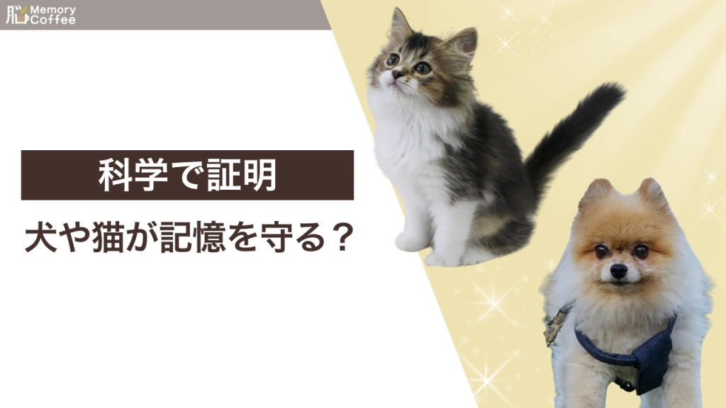 犬と猫の癒やしがストレスを軽減し、記憶の拠点である海馬を保護することを図解したアイキャッチ画像