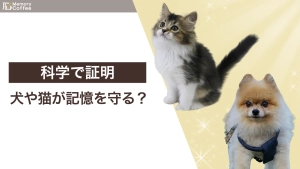 犬と猫の癒やしがストレスを軽減し、記憶の拠点である海馬を保護することを図解したアイキャッチ画像