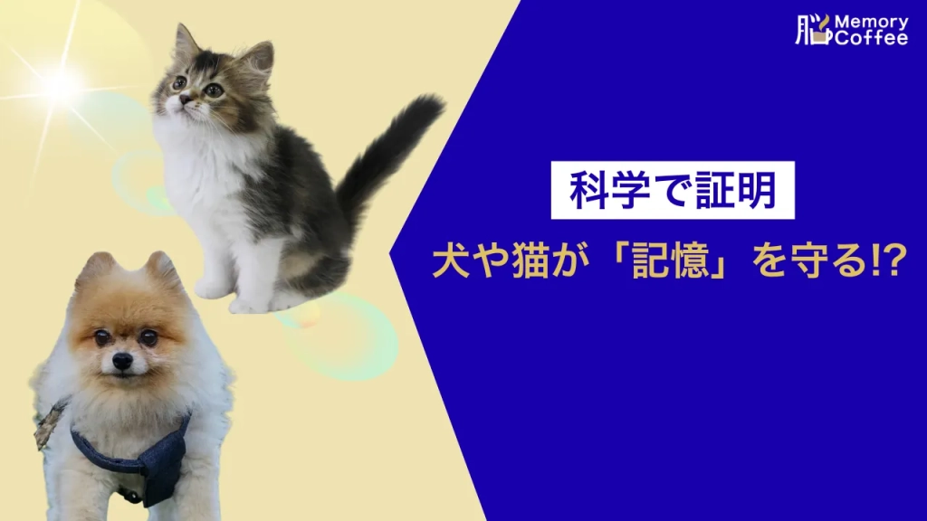犬と猫の癒やしがストレスを軽減し、記憶の拠点である海馬を保護することを図解したアイキャッチ画像