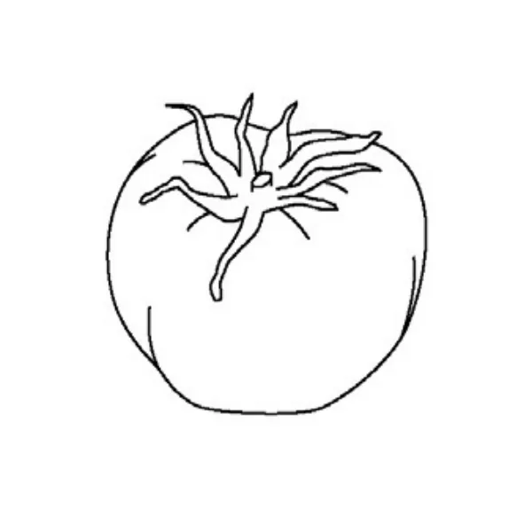 トマト（野菜）