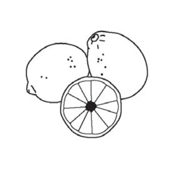 レモン（果物）