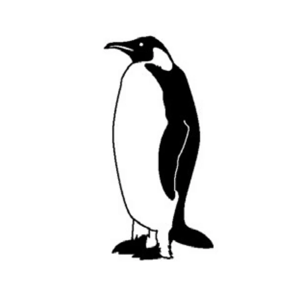 ペンギン（鳥）