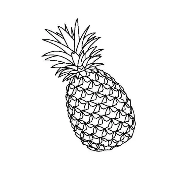 パイナップル（果物）