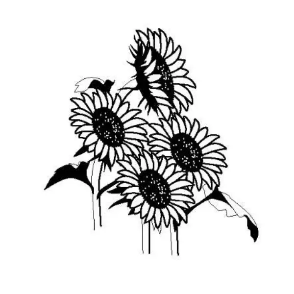 ひまわり（花・植物）