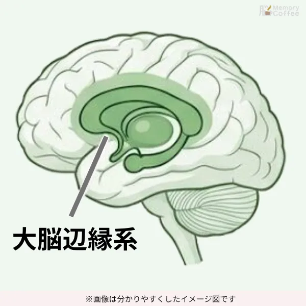 旧哺乳類脳