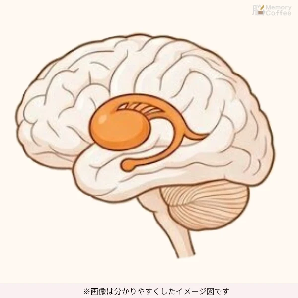 爬虫類脳