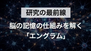 記憶は脳のどこにあるのか？100年以上解けなかった謎に、"光遺伝学"という技術が答えを出しました。記憶の仕組みを可視化した「エングラム」研究の全貌を、最新知見までわかりやすく解説した記事のサムネイル。